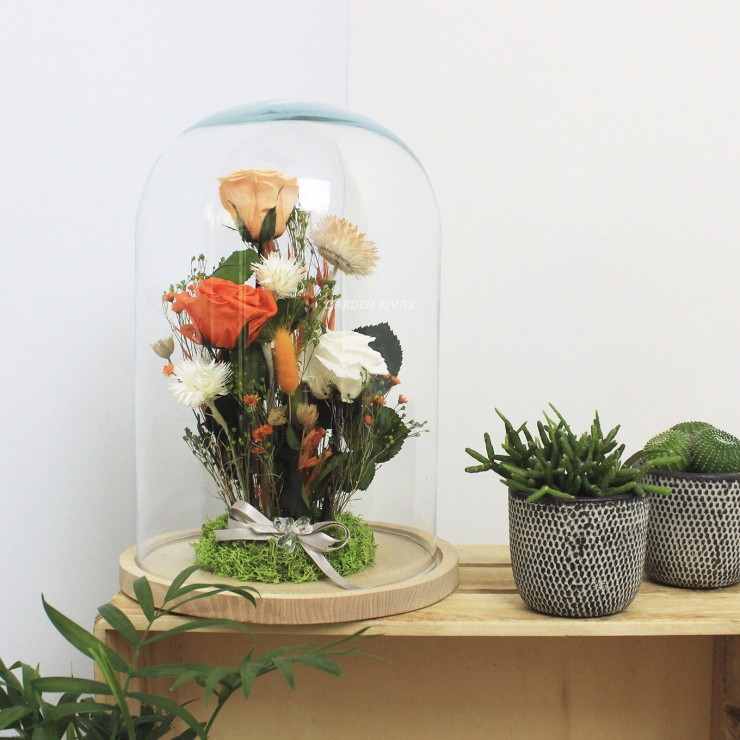 Composición rosa liofilizada en cúpula HELLA, 23x38cm