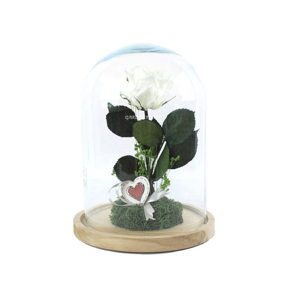 Cúpula de cristal - Liken Estudio Floral