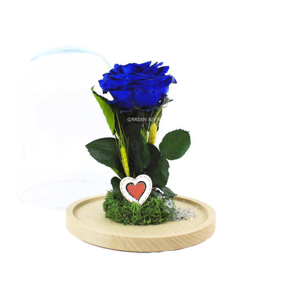 Rosa eterna Azul oscuro en cúpula de cristal | Garden Rivas