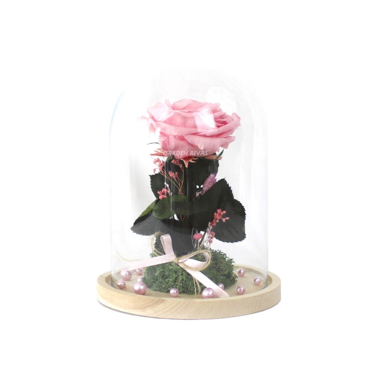 Rosa eterna Rosa pastel en cúpula de cristal | Garden Rivas