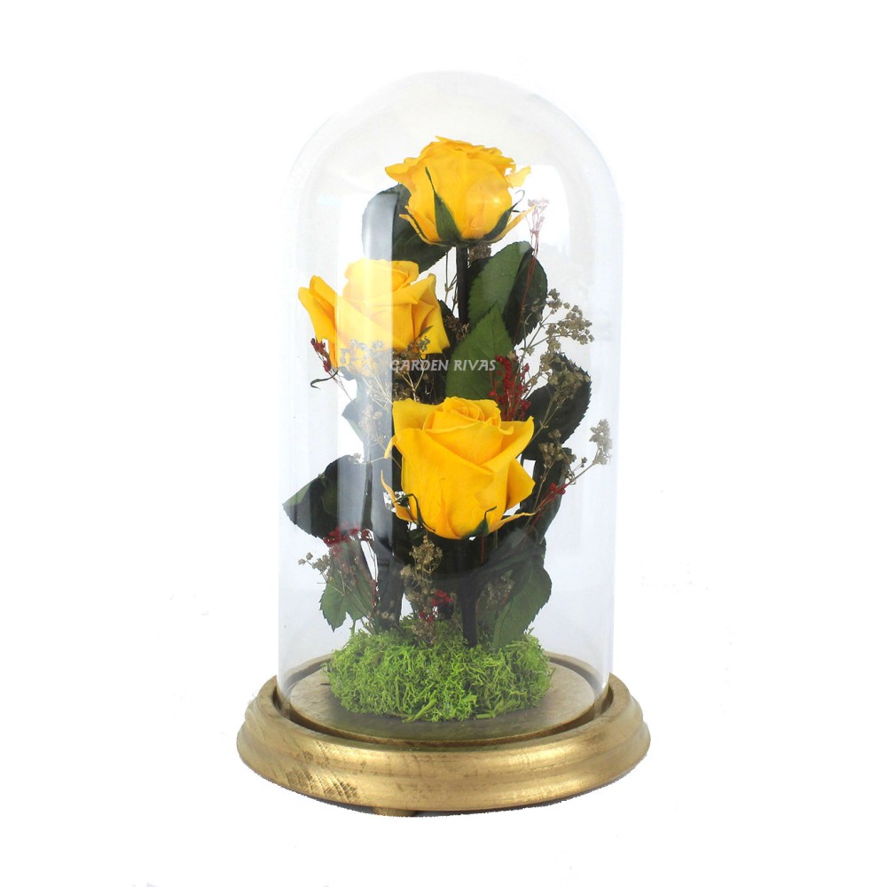 Rosas eternas amarillas en cúpula de cristal, 3 ud | Garden Rivas