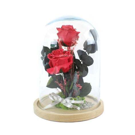 HELLA. Cúpula, 21x30cm