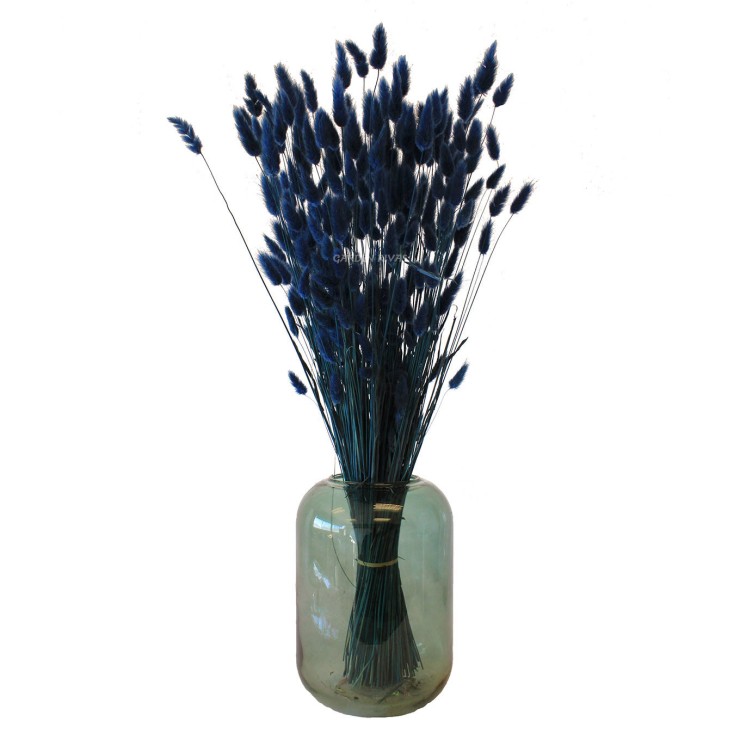 Lagurus, 55cm. Preservado, 100g