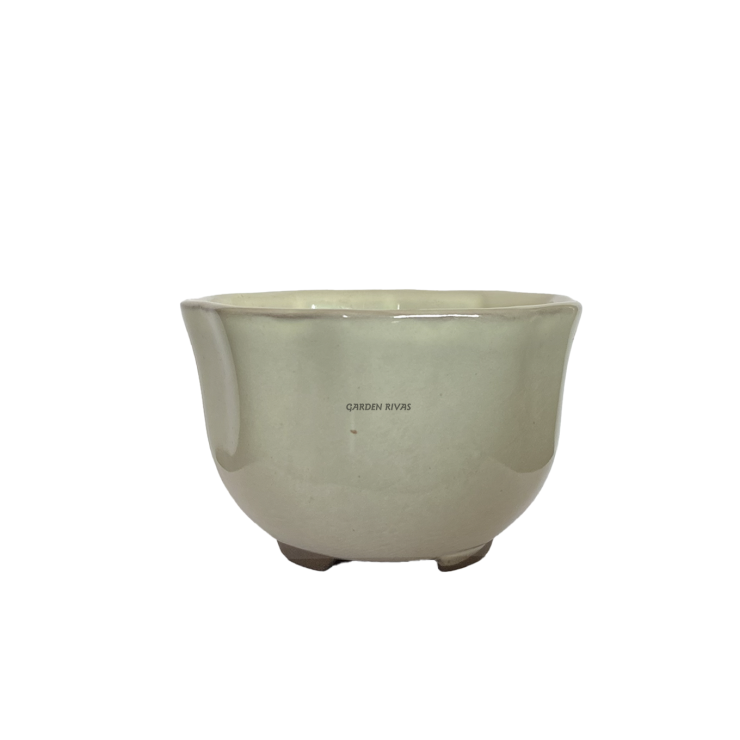 Maceta lotto, 8cm. Japonesa crema