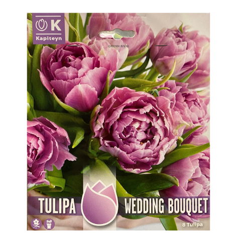 Tulipán doble 'Wedding bouquet', PREMIUM COLLECTION, 8 ud