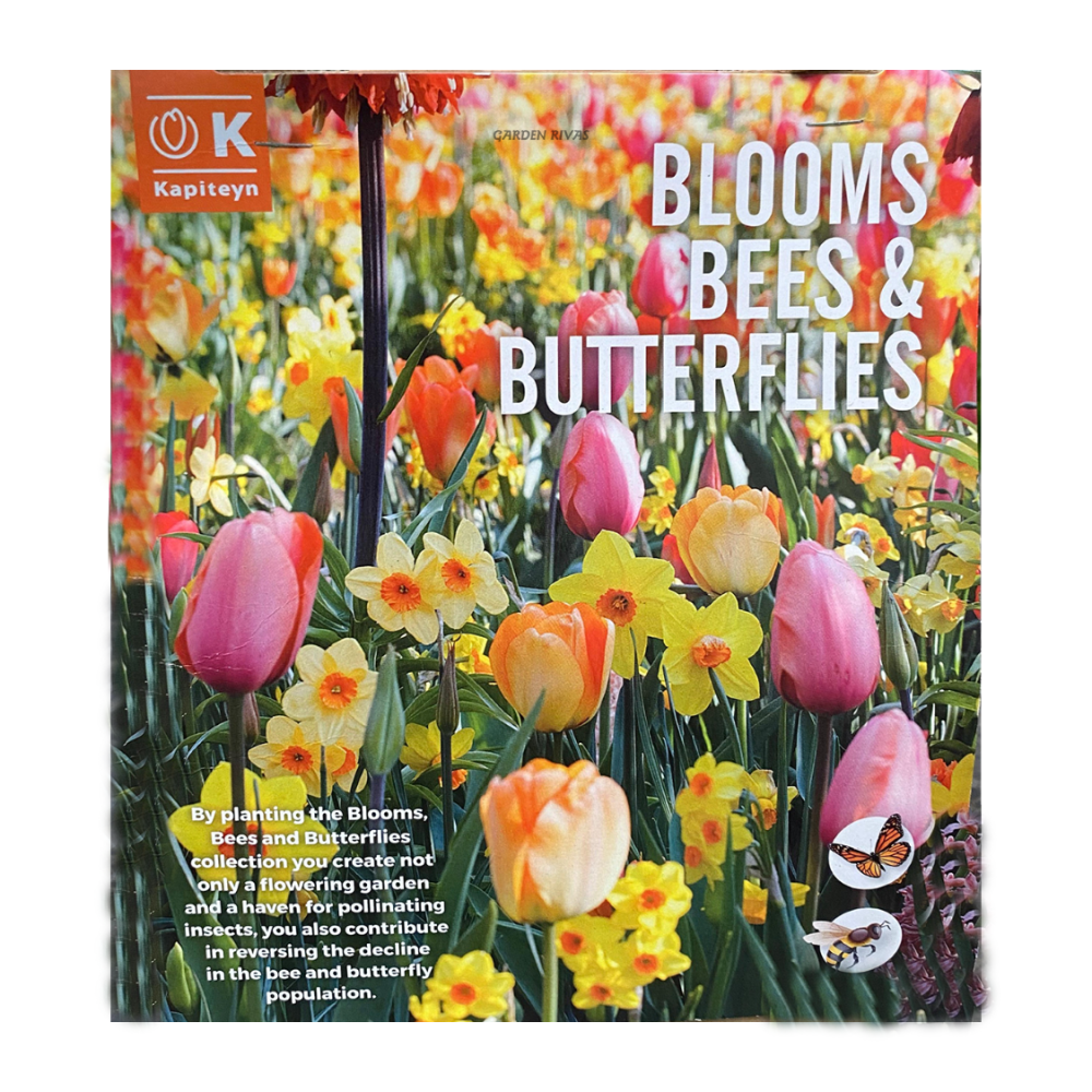Tulipán 'Blooms, bees & butterflies', PREMIUM COLLECTION, 25 ud