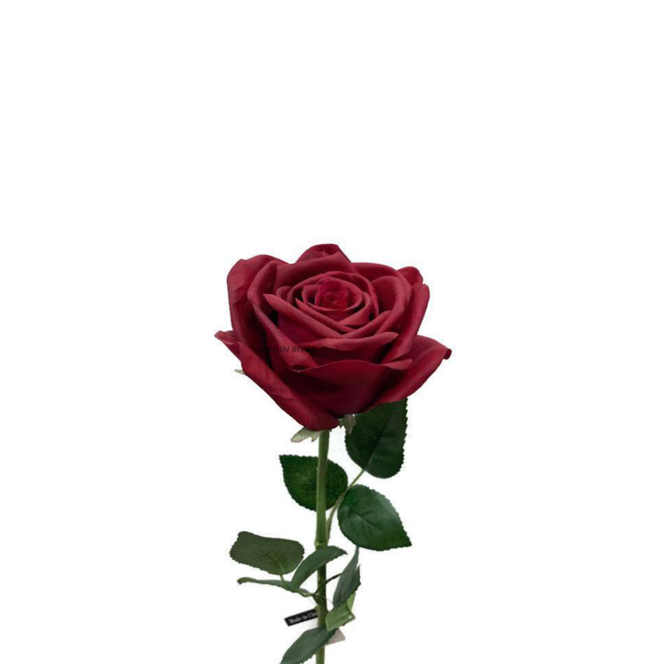 Rosa liofilizada Burdeos