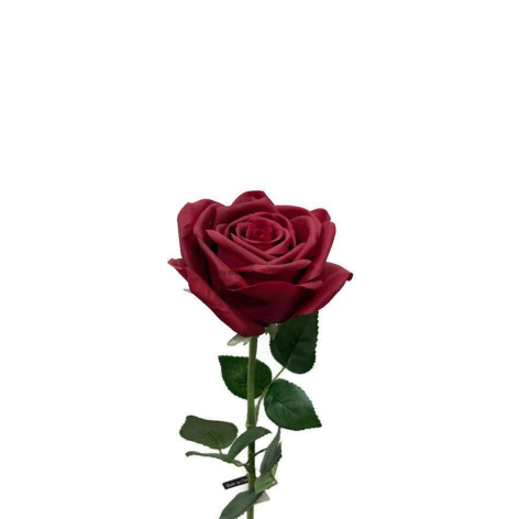 Rosa liofilizada Burdeos