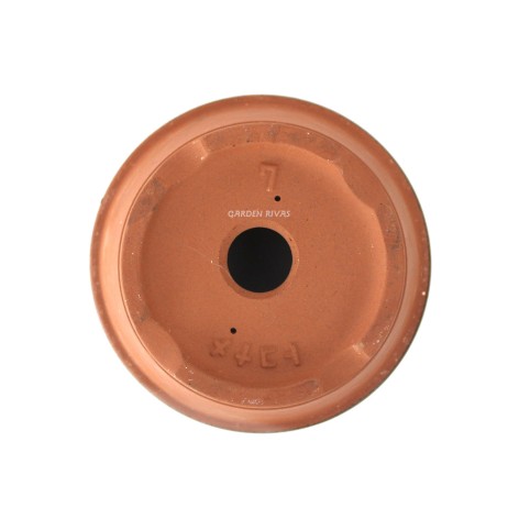 Maceta entrenamiento, 21,8cm. Japonesa terracota